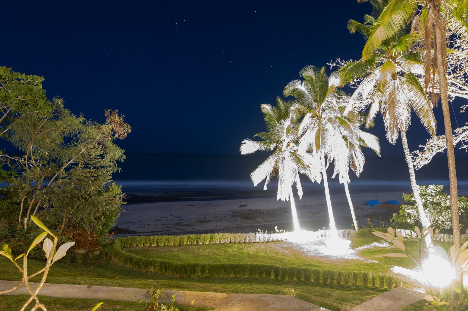 Las palmeras de noche frente al mar
